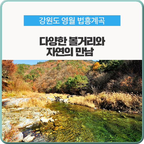  JTBC 캠핑클럽에 나온 그 곳 강원도 법흥계곡!