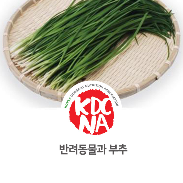  [반려동물 영양 정보] 강아지 고양이가 부추를 먹었다면?_107