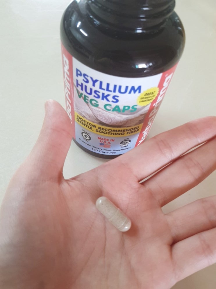  실리엄허스크 Psyllium Husk 차전자피 다이어트 후기