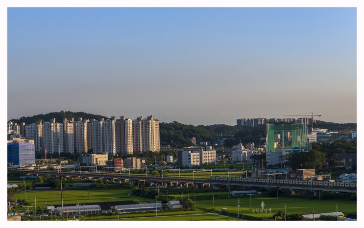  시선이 머무는 곳.