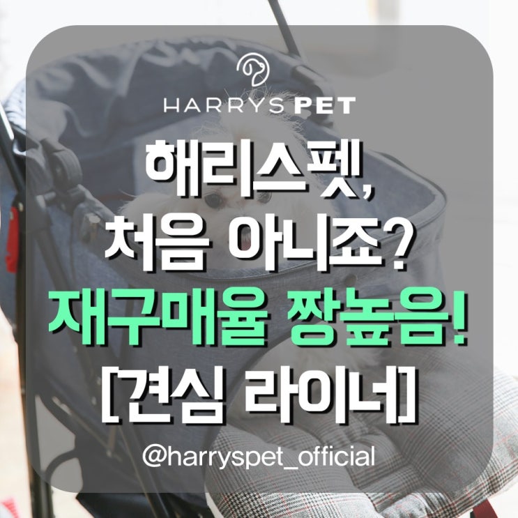  대전펫플러스 나날이 사용하게 될 수밖에 없는 대단한 존재감