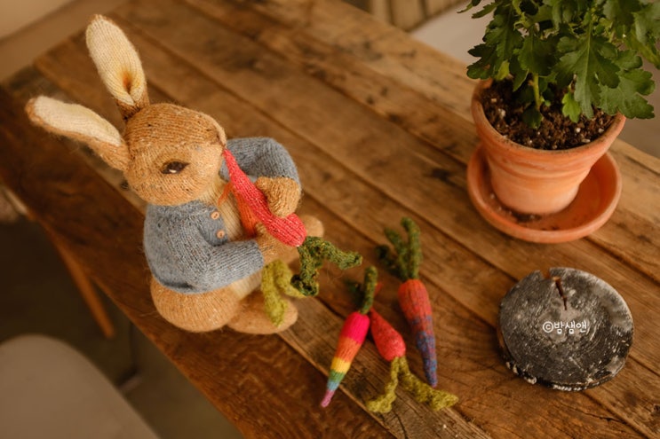  대바늘인형: 알란다트 피터래빗 (Peter Rabbit)