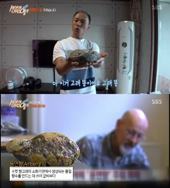 용연향 뭐길래?… "28억4000만원 가격 책정" 용연향 뭐길래?… "28억4000만원 가격 책정"