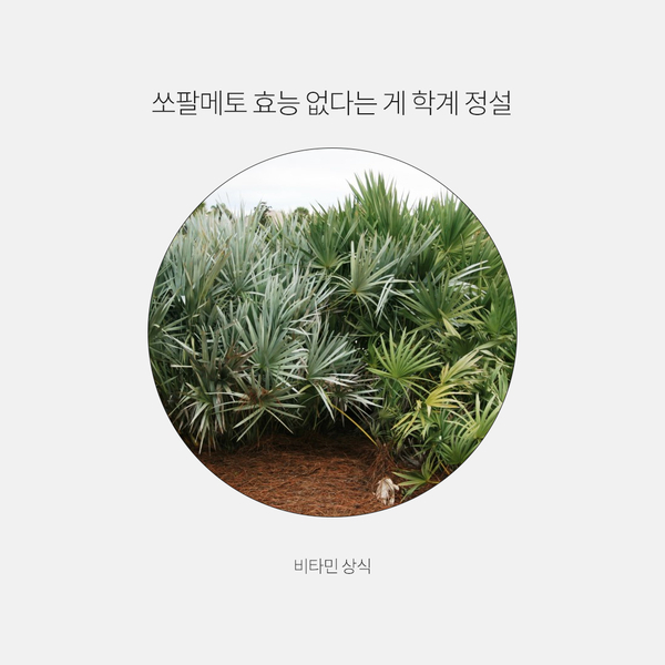  쏘팔메토 효능 없다는 게 학계 정설