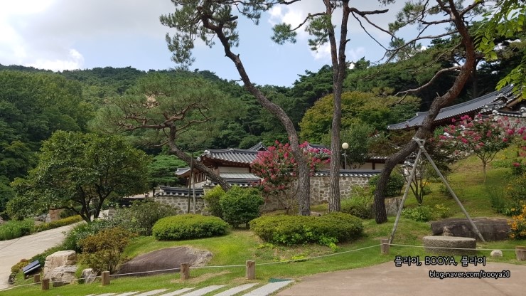 [2019.8] 석파정 서울미술관 (안 봐도 사는 데 지장 없는 전시)