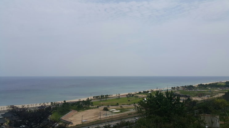  장호항 펜션 삼척펜션 바다인접펜션 대한민국 추천 바다 펜션 바닷가 여행지
