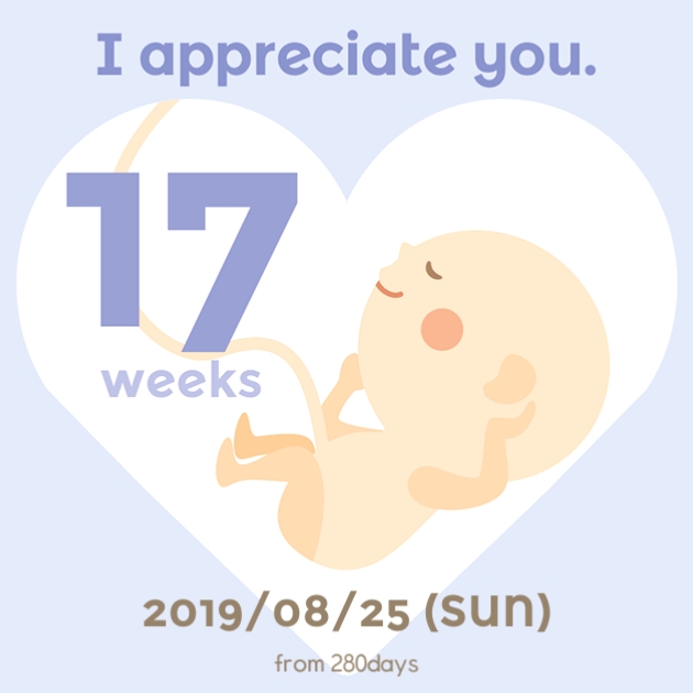 임신 17주/ 성별확인(각도법 후기), 산모교실, 소양증? 땀띠?