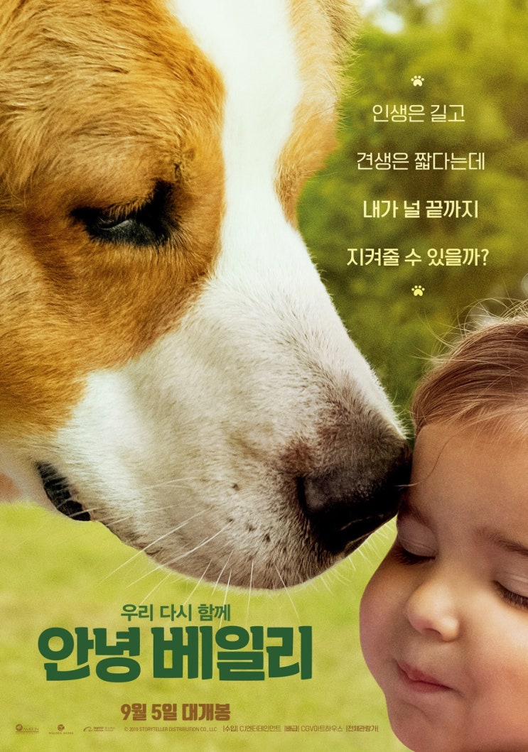  안녕 베일리
