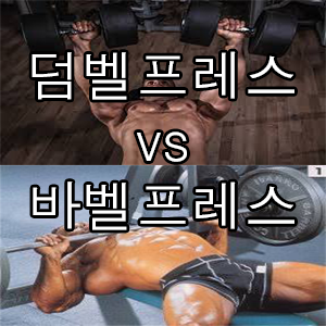  덤벨프레스와 바벨프레스 뭐가 더 좋을까?