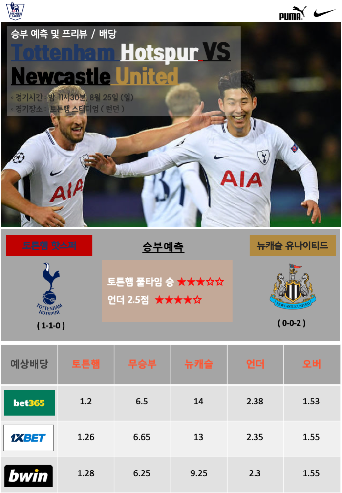 < EPL > 잉글랜드 프리미어리그 3라운드 : 토튼햄 핫스퍼 VS 뉴캐슬 유나이티드