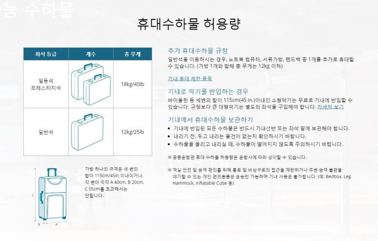 국내선 위탁수화물 휴대수화물 총정리