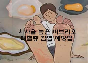  치사율 높은 비브리오 패혈증 감염 예방법