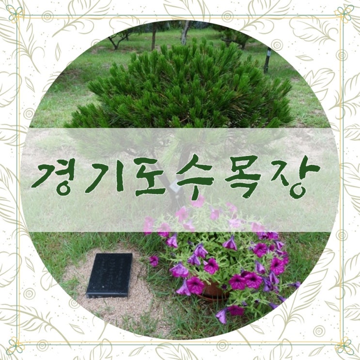  경기도수목장 그리고 공동수목장