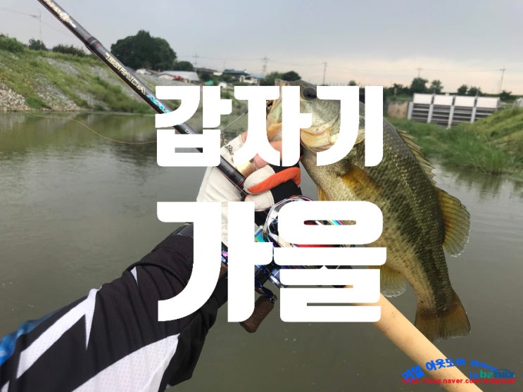  2019년 8월 25일 베이트피네스로 시작해서 스피너베이트로 마무리 (부르트강 마수걸이)