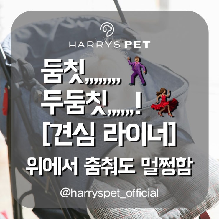  강아지매트 개주인의 하트를 휘어잡은 라이너 베개 스토리