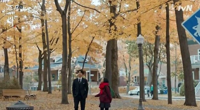  드라마 도깨비퀘벡여행 : 드라마 드디어 찾았다~