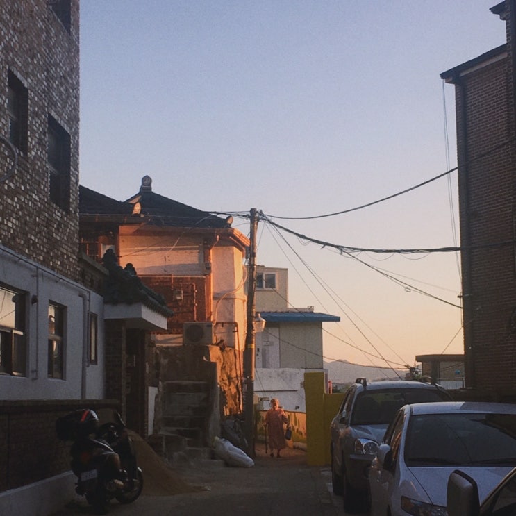  일요일기 2