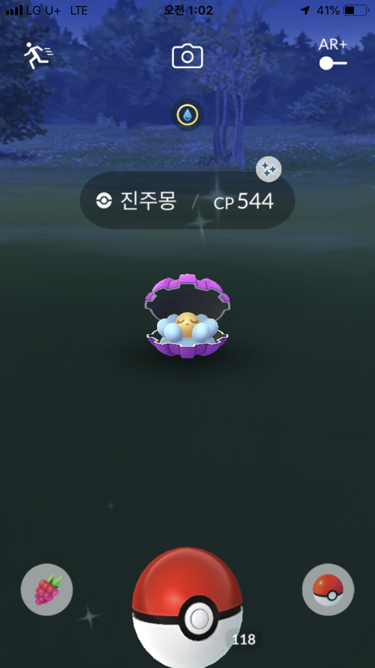  이로치