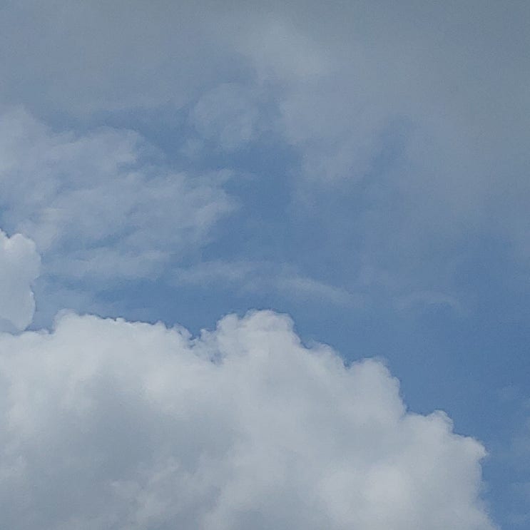  0826