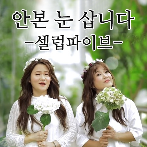  이번엔 진지하다! 셀럽파이브 - 안본눈삽니다(Feat.설현)[가사/듣기/뮤비]