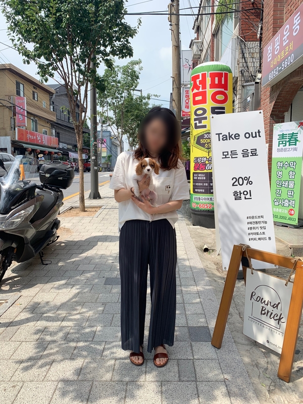  광진구강아지분양 마리켄넬 킹찰스스패니얼분양후기정보