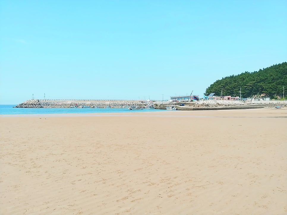 꼴라비펜션 사진 1
