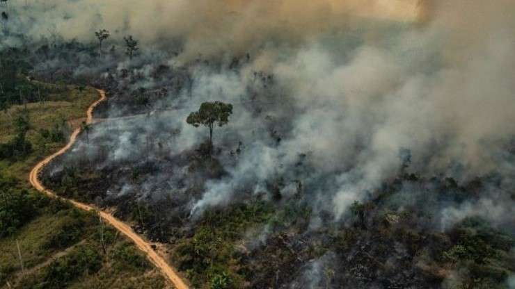 아마존 위한 교황의 호소… 빠른 시일 내 화재 진화되길