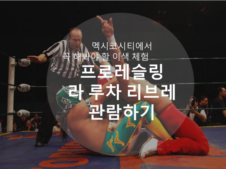  멕시코 여행 :: 멕시코에서 꼭 해봐야할 이색 체험/1편/라 루차 리브레 관람하기