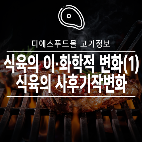  [디에스푸드몰 고기정보]식육의 이·화학적 변화(1)