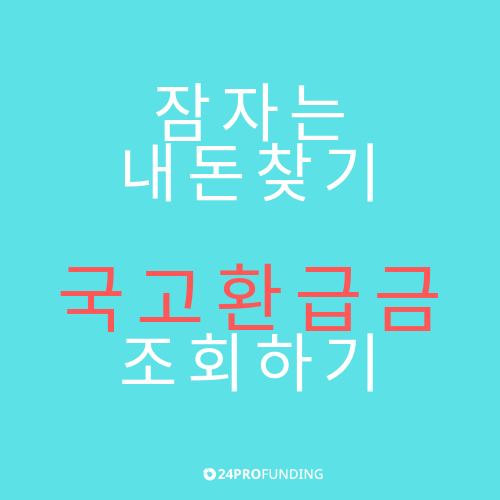  내가 찾아야할 국고환급금은 얼마? 조회방법안내_P2P플랫폼[24프로펀딩]