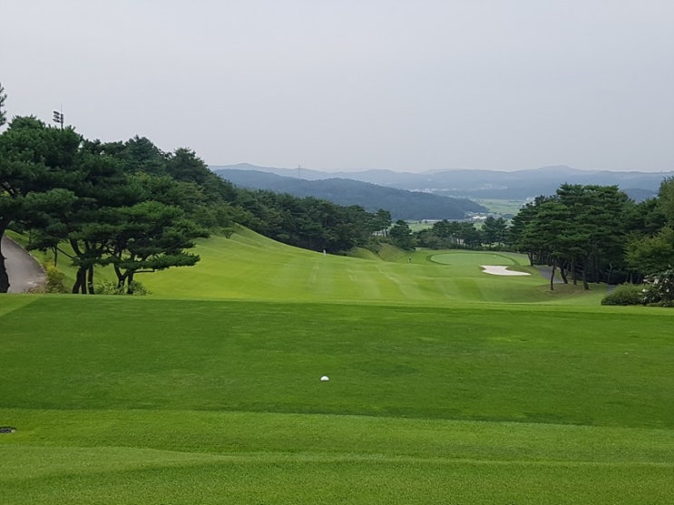  스카이밸리CC 라운딩후기