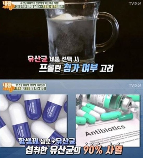 프롤린 유산균, 비만 세균 잡아 지방분해 도움 프롤린 유산균, 비만 세균 잡아 지방분해 도움