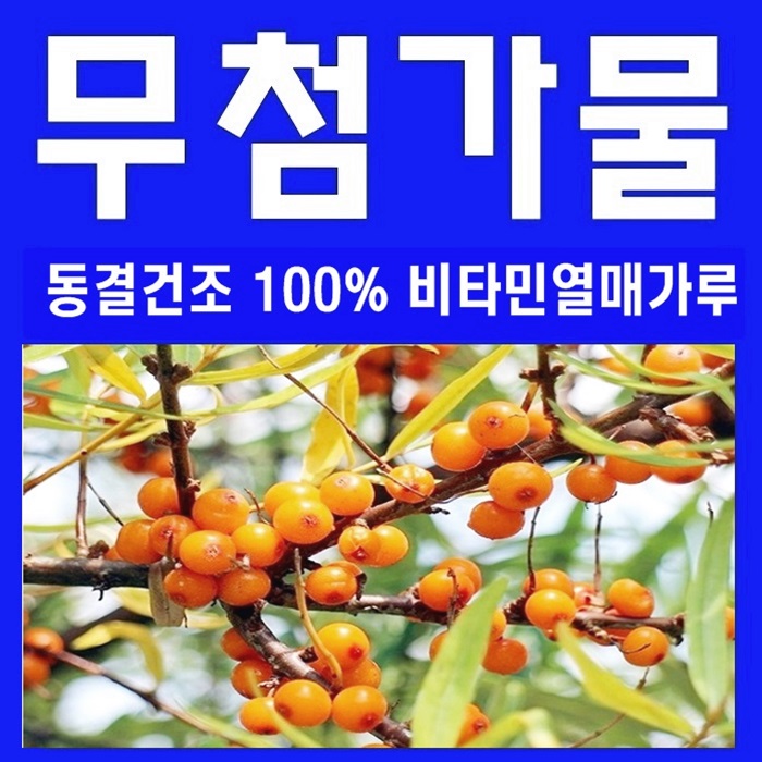  비타민나무열매가루 효능과 먹는법, 티벳 분말 파는곳 안내