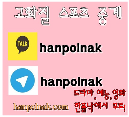  영화감독앤더슨W 감독-웨스 미국 영화  오늘의 꿀팁
