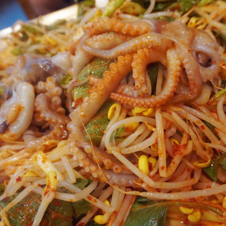  종로 맛집 이영자, 정우성이 다녀간 '종로진낙지' 산낙지철판볶음 먹방