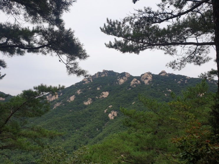  수락산산책/선산벌초/강경젓갈백반