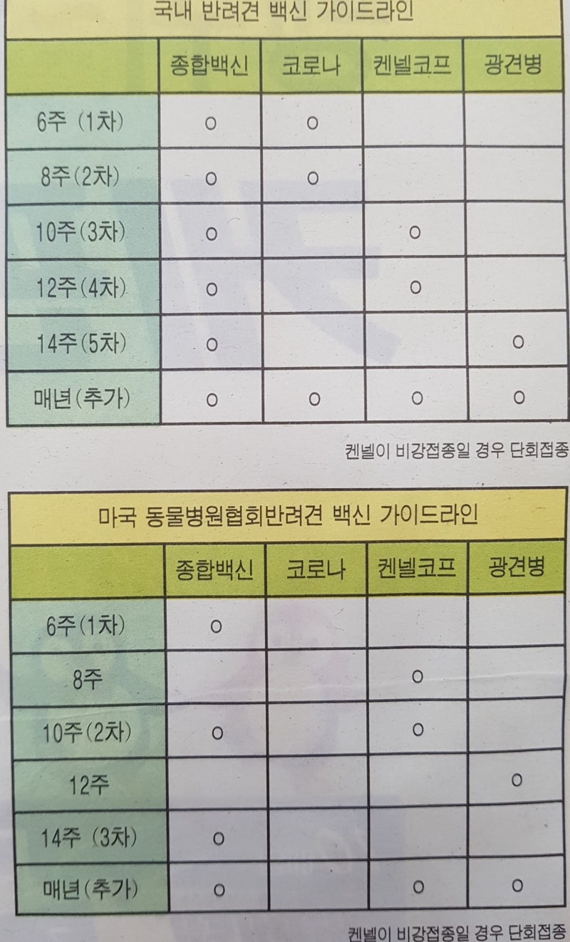 강아지 백신, 고양이 백신 자가 접종 : 네이버 블로그