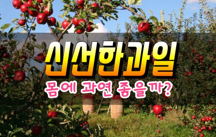  가장 건강하게 과일 먹는 법 (식전과일, 식후과일?)