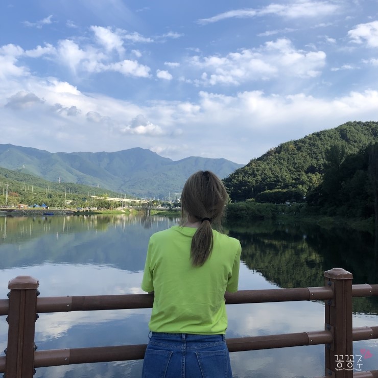  대구 가볼만한곳 송해공원 옥연지 출렁다리 건너기