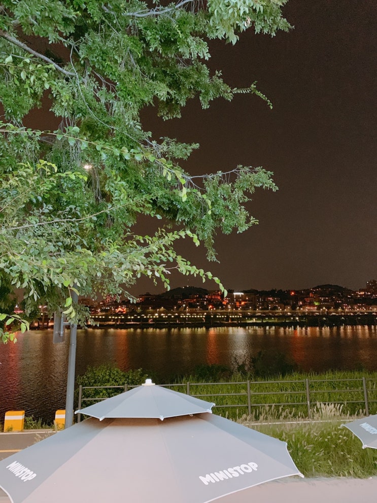  [왕십리곱창맛집] 왕십리정은이네곱창 왕십리원조곱창 한강밤나들이  한강즉석라면