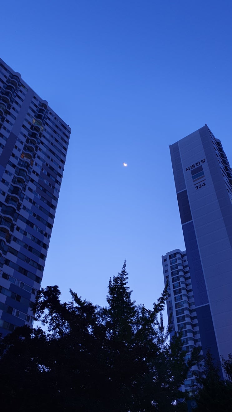  2019.08.26 새벽풍경.