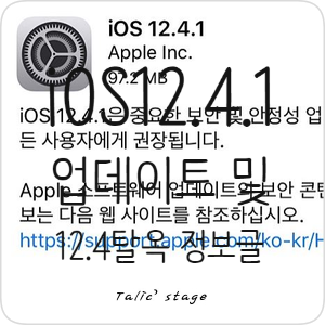 iOS12.4.1 업데이트 및 12.4 탈옥에 관한 정보