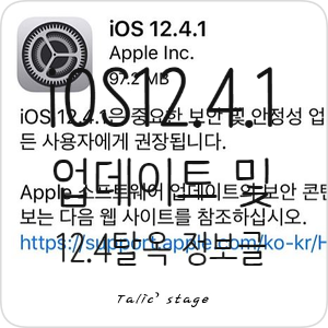 iOS12.4.1 업데이트 및 12.4 탈옥에 관한 정보
