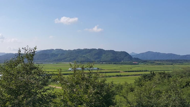  영화 고지전