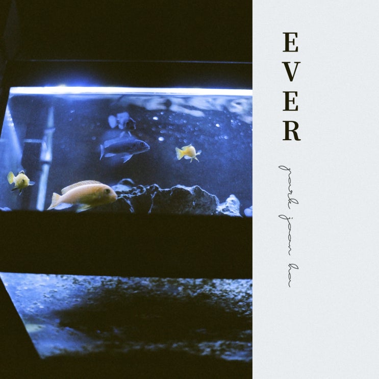 [New Thing] 박준하 싱글 [EVER]