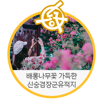  대구 동구 가볼 만한 곳, 배롱나무꽃 가득 신숭겸 장군 유적지 - 장하나 기자 | 대구광역시 기념물 제1호 유적 관광지