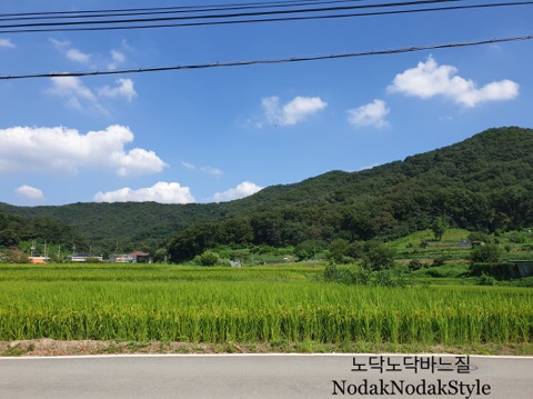  천안카페투어