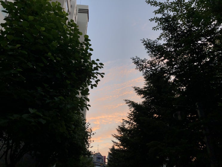  2019 05-06