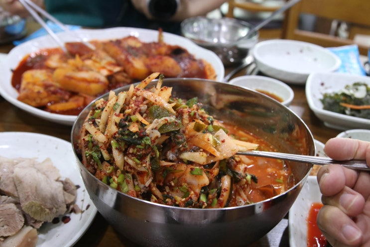  물회도 나오는 제주 에코랜드 맛집