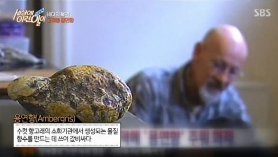 용연향이 뭐길래? '고래의 똥'인데 가격이 무려.. 어디서 구하나